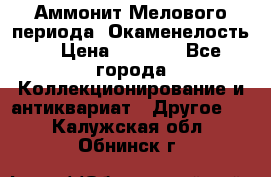 Аммонит Мелового периода. Окаменелость. › Цена ­ 2 800 - Все города Коллекционирование и антиквариат » Другое   . Калужская обл.,Обнинск г.